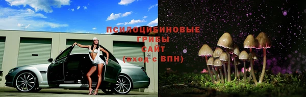 PSILOCYBIN Каменка