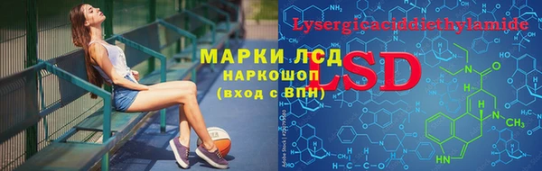PSILOCYBIN Каменка