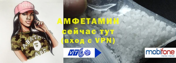 PSILOCYBIN Каменка