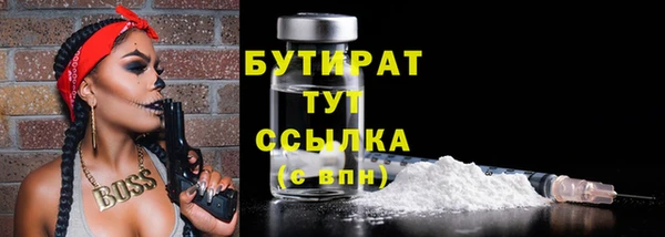 тгк Инсар