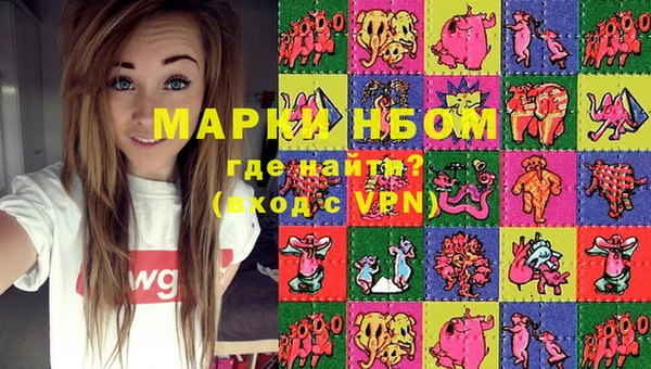 крисы Каменногорск