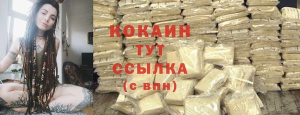 крисы Каменногорск