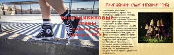 крисы Каменногорск
