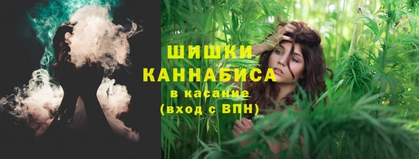 тгк Инсар