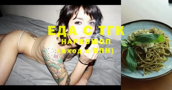 тгк Инсар