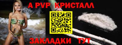 шишки Лесосибирск