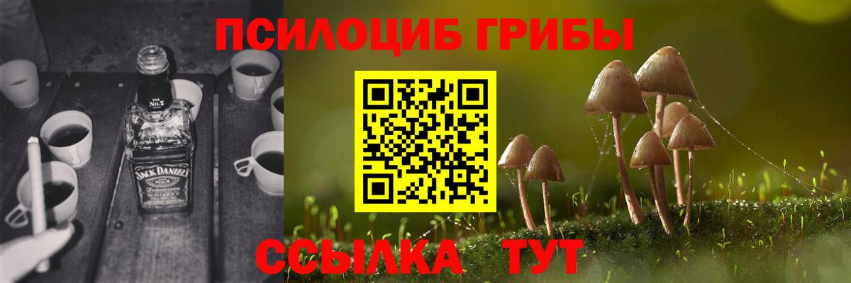 Псилоцибиновые грибы мухоморы Канск